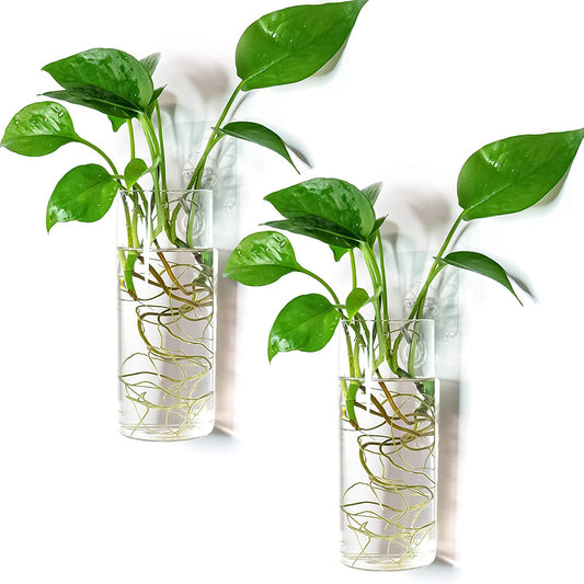 Glass Tube Wall Planter Propagation Station - 2 Pack Terrarium Cylinder Wall Vase with Plant Holder Hydroponic Planter for Home Kitchen Office Decor, Perfect Plant Lover Gifts (Short Cylinder)